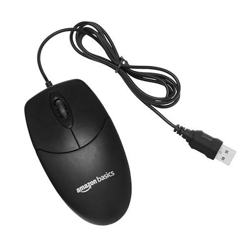 computer mouse