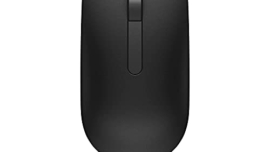 computer mouse