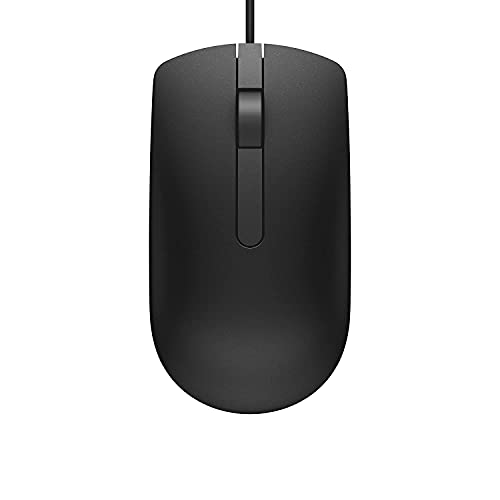 computer mouse