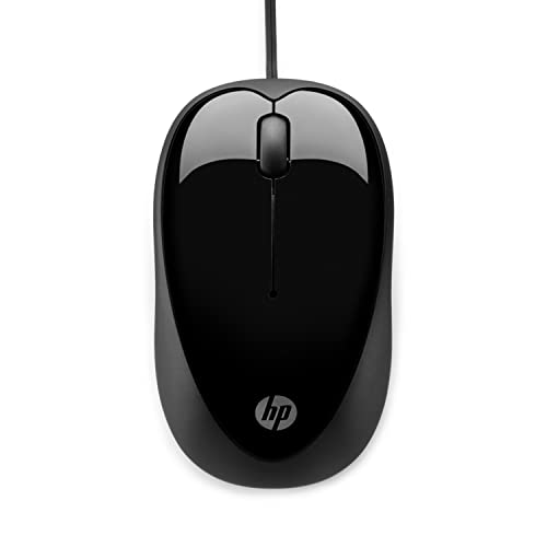 computer mouse