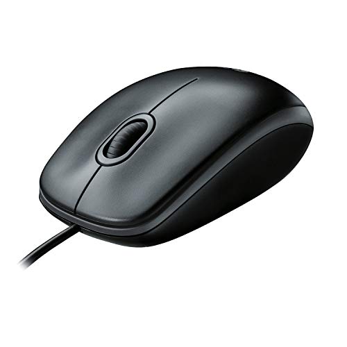 computer mouse