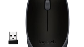 computer mouse