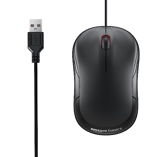 computer mouse