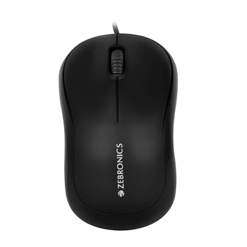 computer mouse