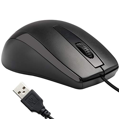 computer mouse