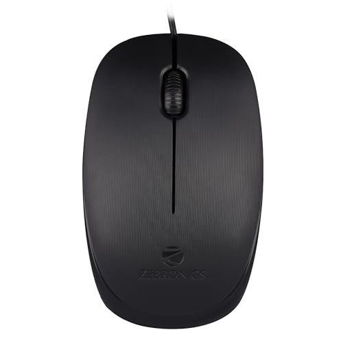 computer mouse