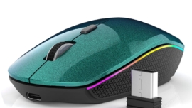 computer mouse