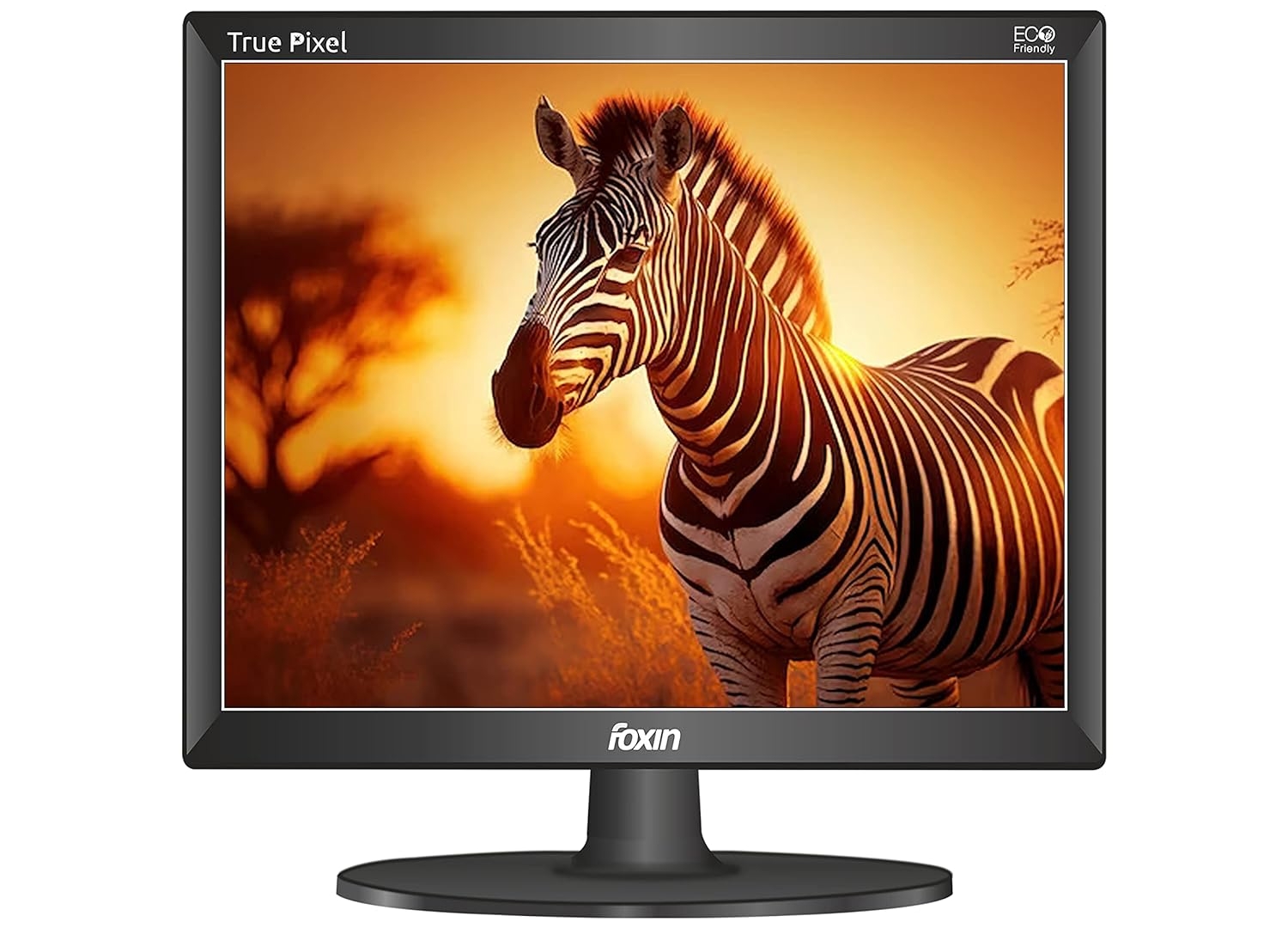 monitor for pc