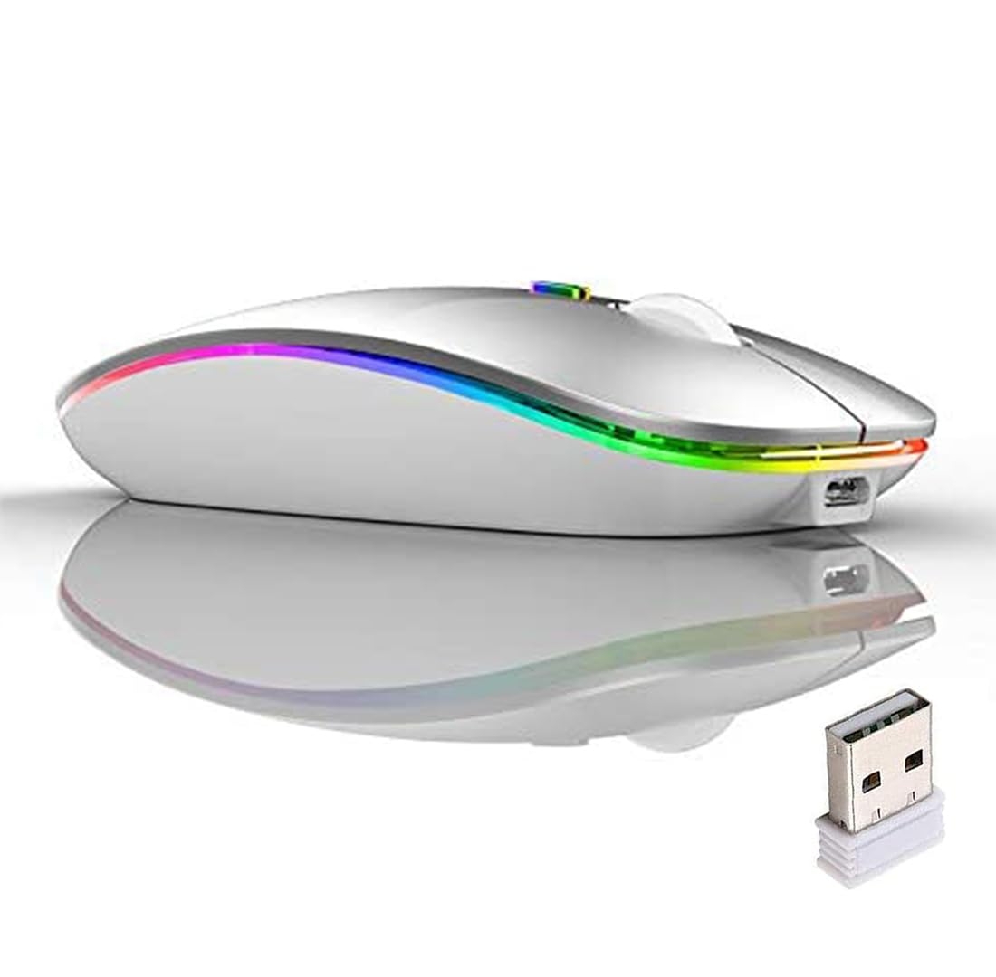 computer mouse