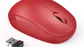 computer mouse